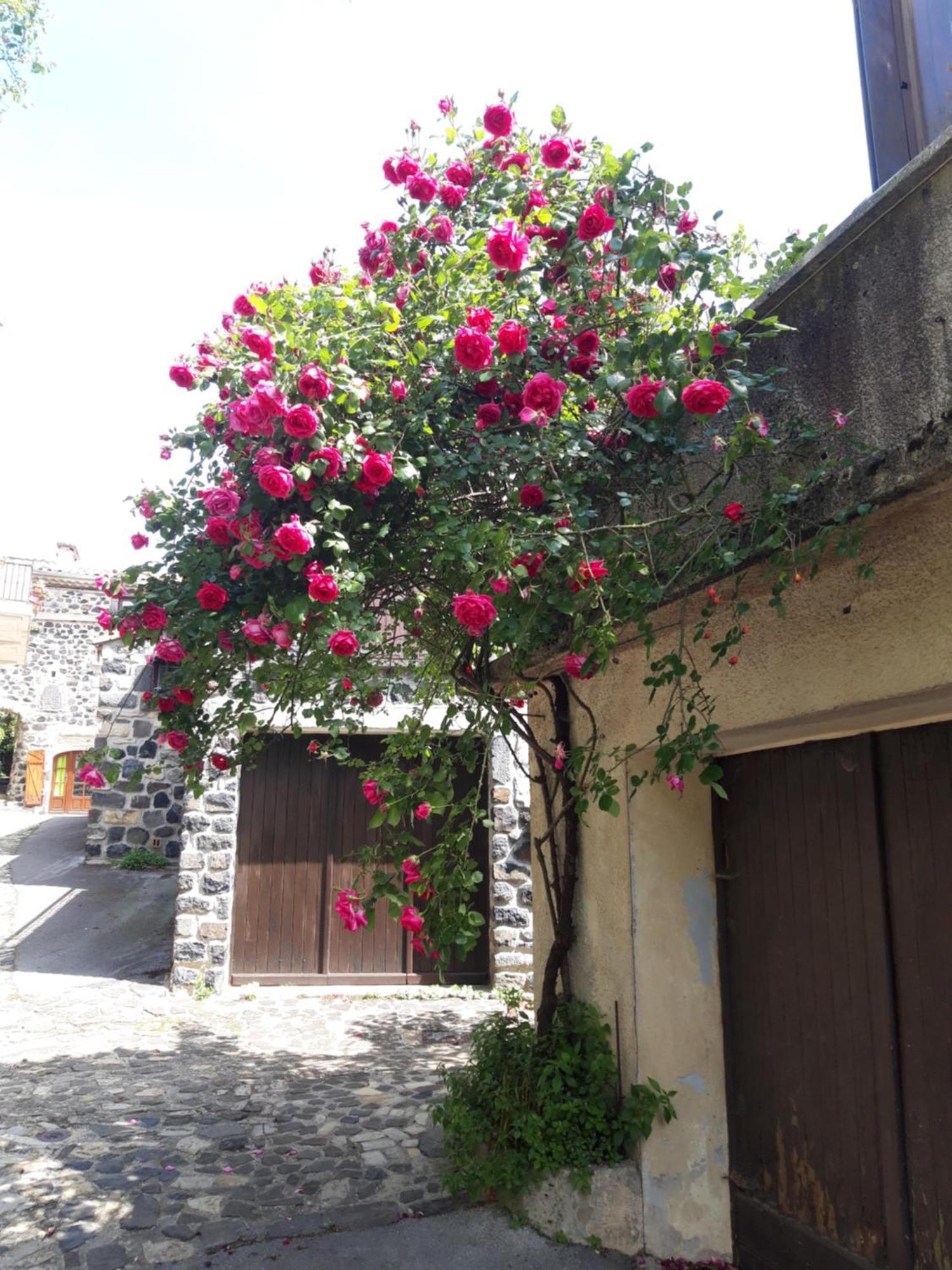 Vila Le Cocon Lussas Exteriér fotografie